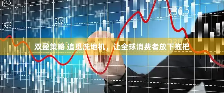双盈策略 追觅洗地机，让全球消费者放下拖把