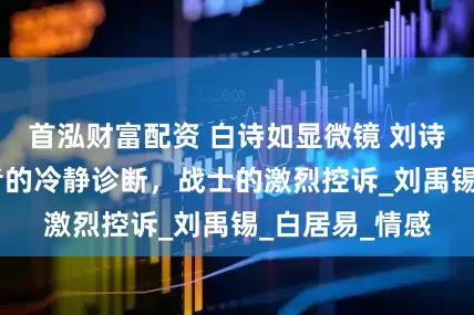 首泓财富配资 白诗如显微镜 刘诗如望远镜 医者的冷静诊断，战士的激烈控诉_刘禹锡_白居易_情感