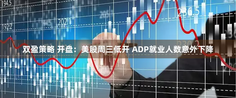 双盈策略 开盘：美股周三低开 ADP就业人数意外下降