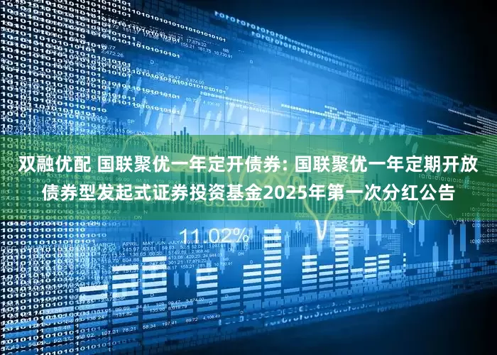 双融优配 国联聚优一年定开债券: 国联聚优一年定期开放债券型发起式证券投资基金2025年第一次分红公告