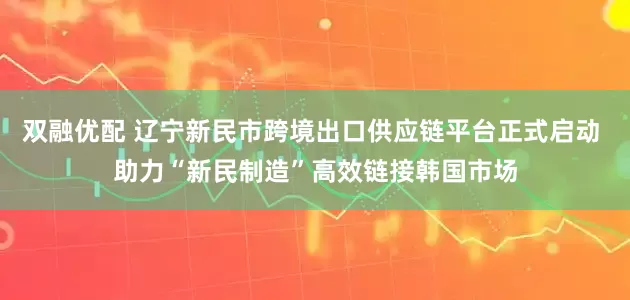 双融优配 辽宁新民市跨境出口供应链平台正式启动 助力“新民制造”高效链接韩国市场