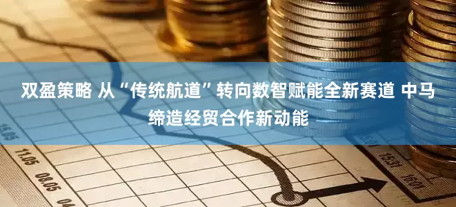 双盈策略 从“传统航道”转向数智赋能全新赛道 中马缔造经贸合作新动能
